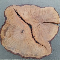 FOREST 5 JOURNAL TABLE