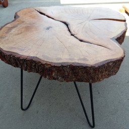 FOREST 5 JOURNAL TABLE