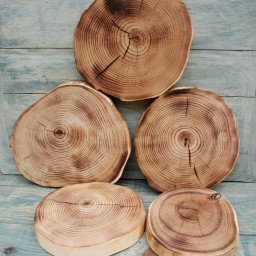SET OF CUTS NVO030