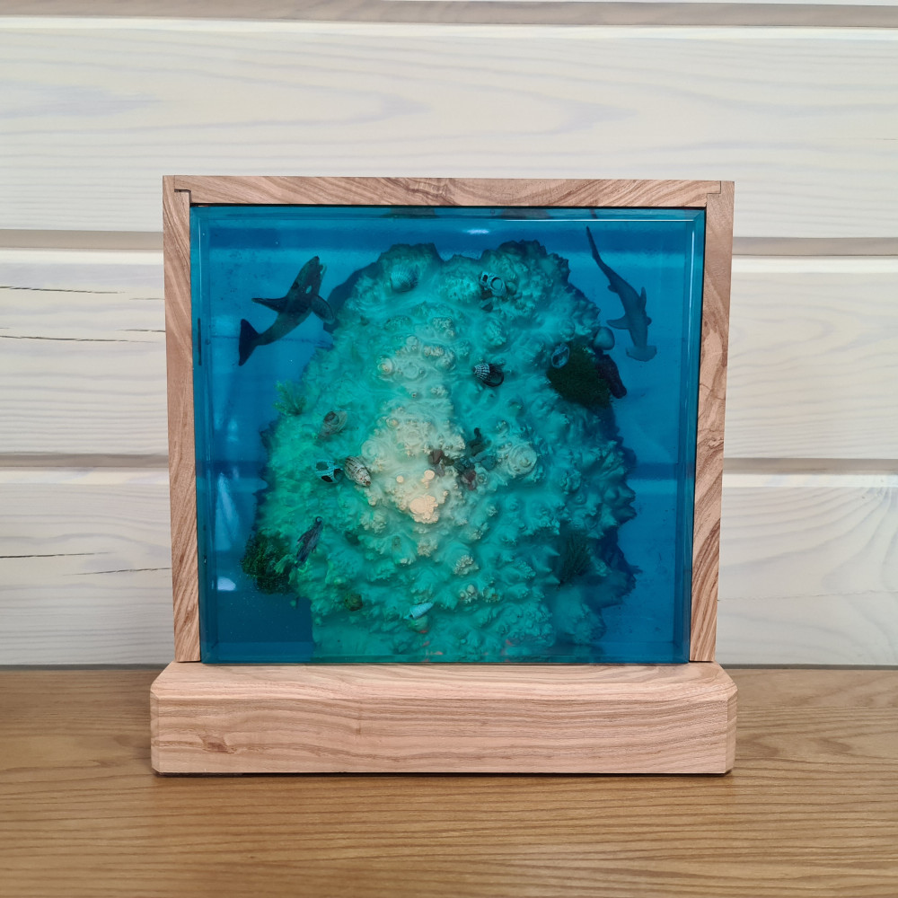 LAMP CORAL LAMP CORAL